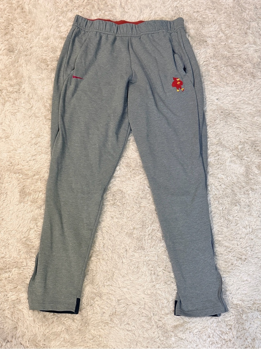 Nike Dri Fit Iowa State Cyclones Gray Unisex Athletic Jogger Pants - L